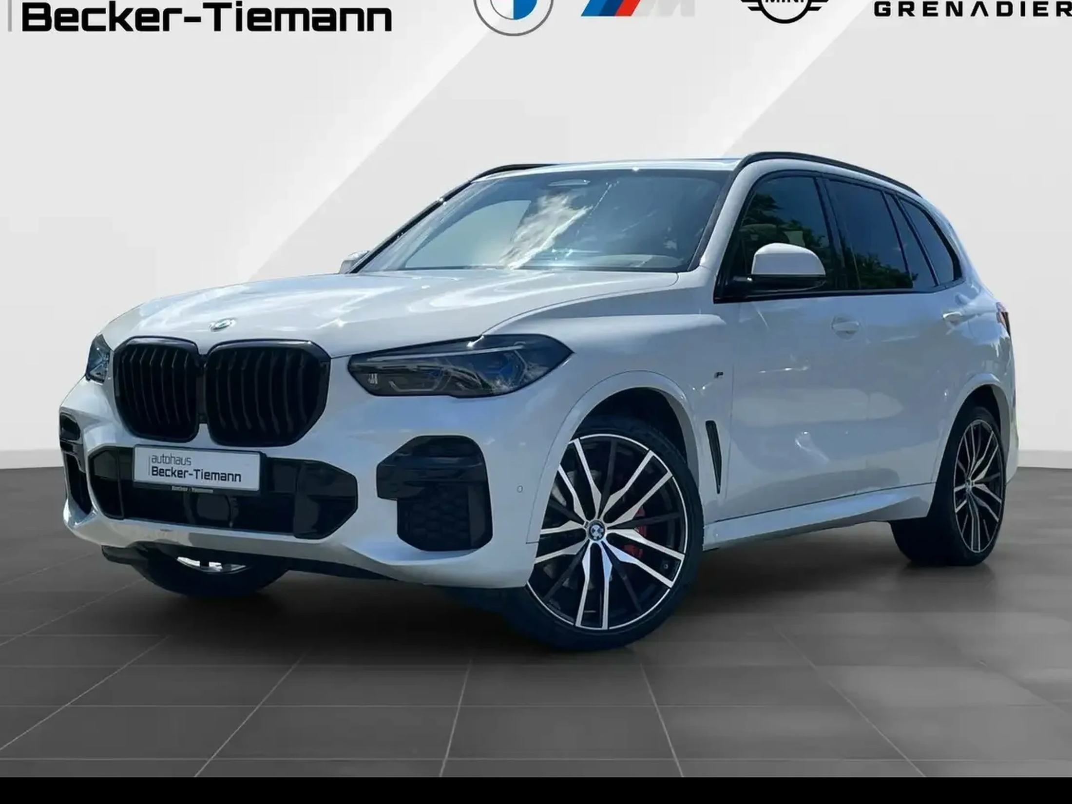 BMW X5 X5