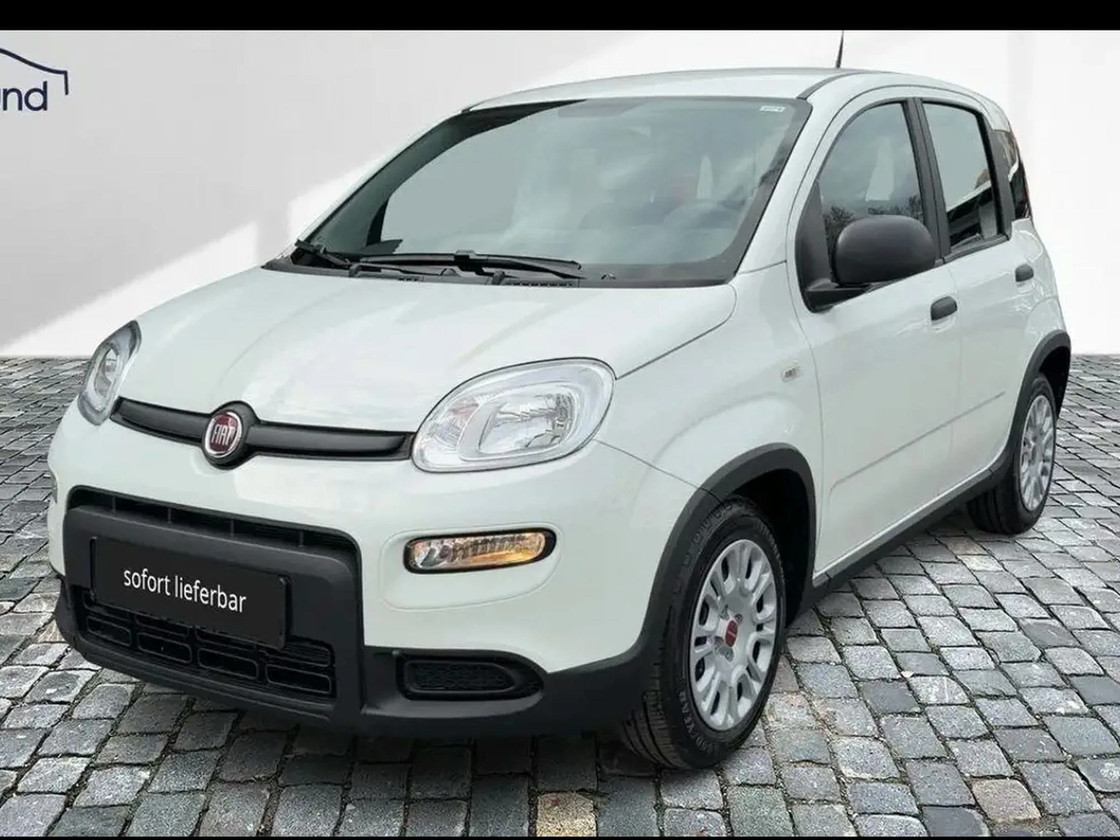 Fiat Panda Panda