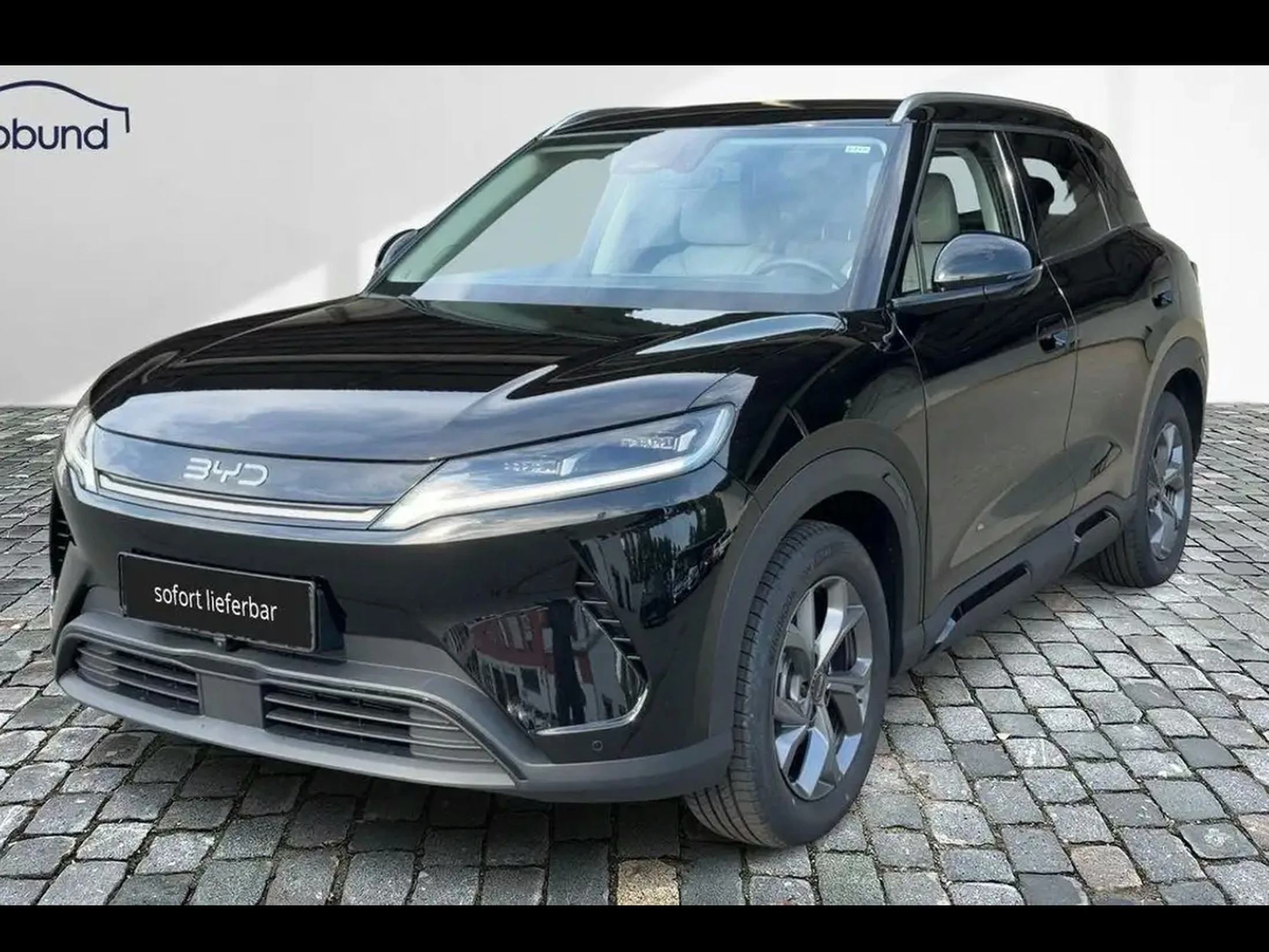 BYD Atto 2