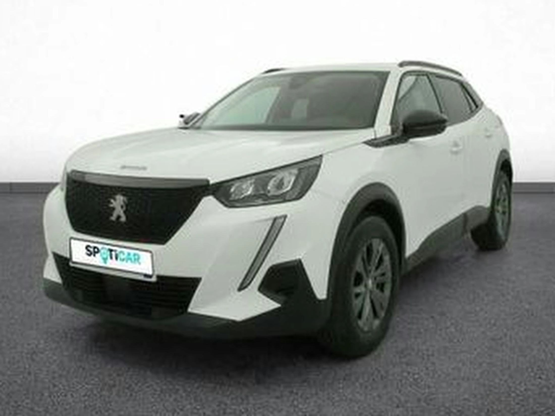 Peugeot 2008 BlueHDi 110 S&S BVM6 Style