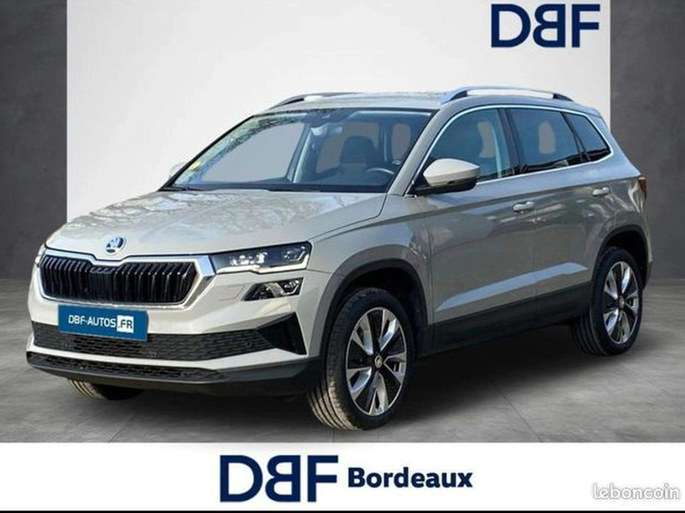 Skoda Karoq 2.0 TDI 116 ch SCR DSG7 Style