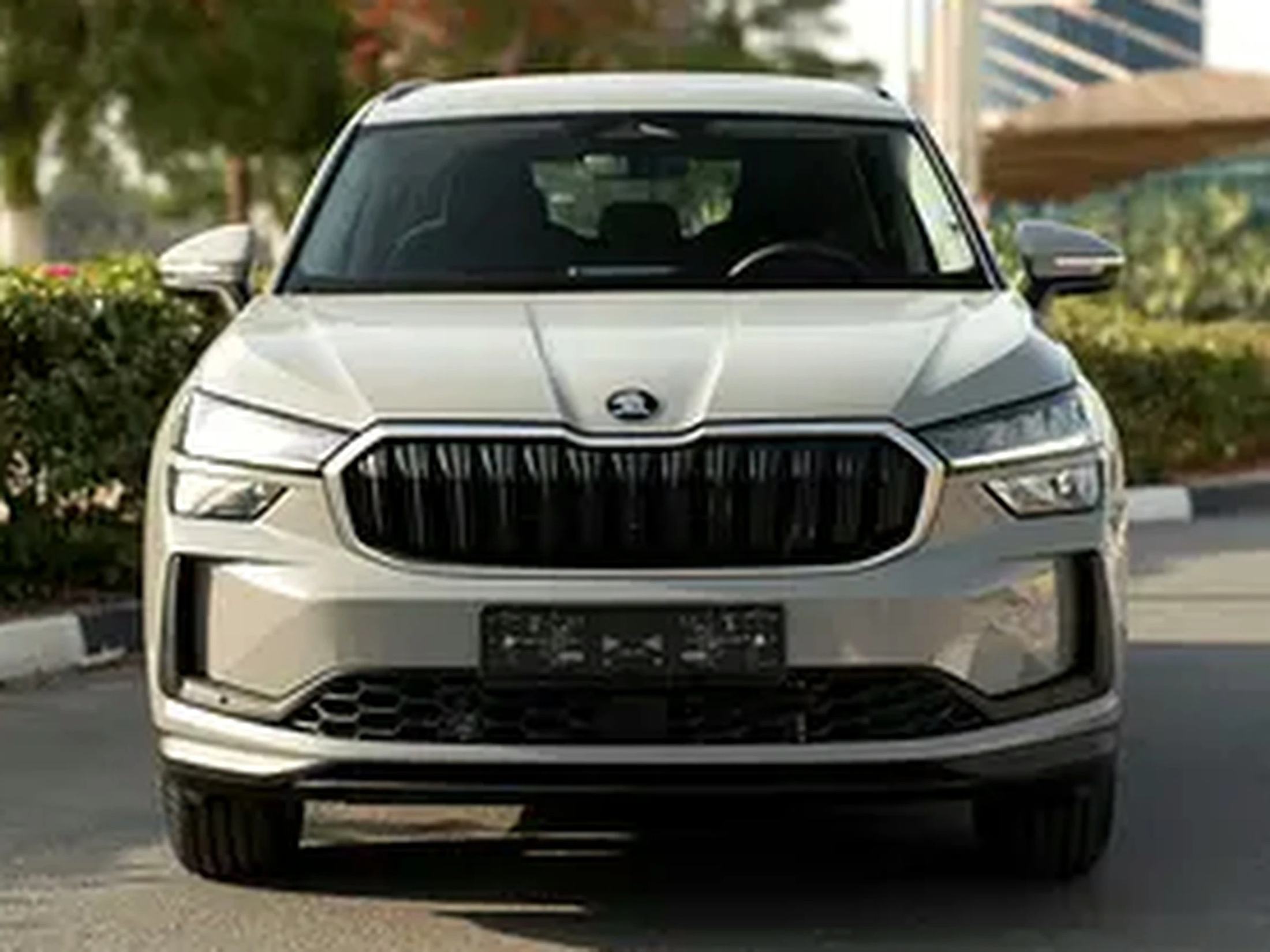 Skoda - Kodiaq - Other