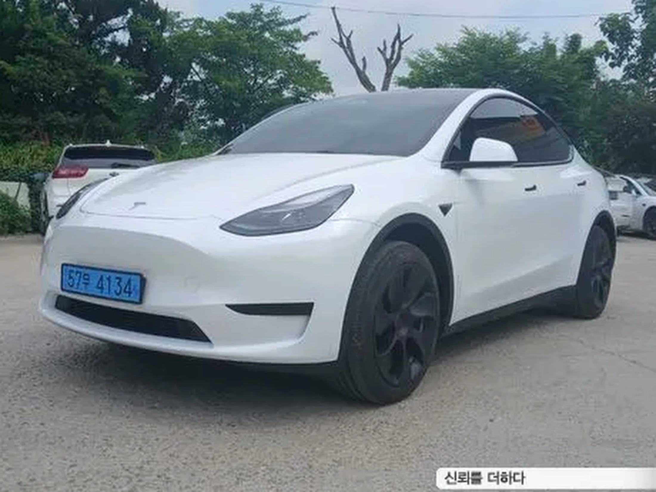 Tesla Model Y 2023 RWD