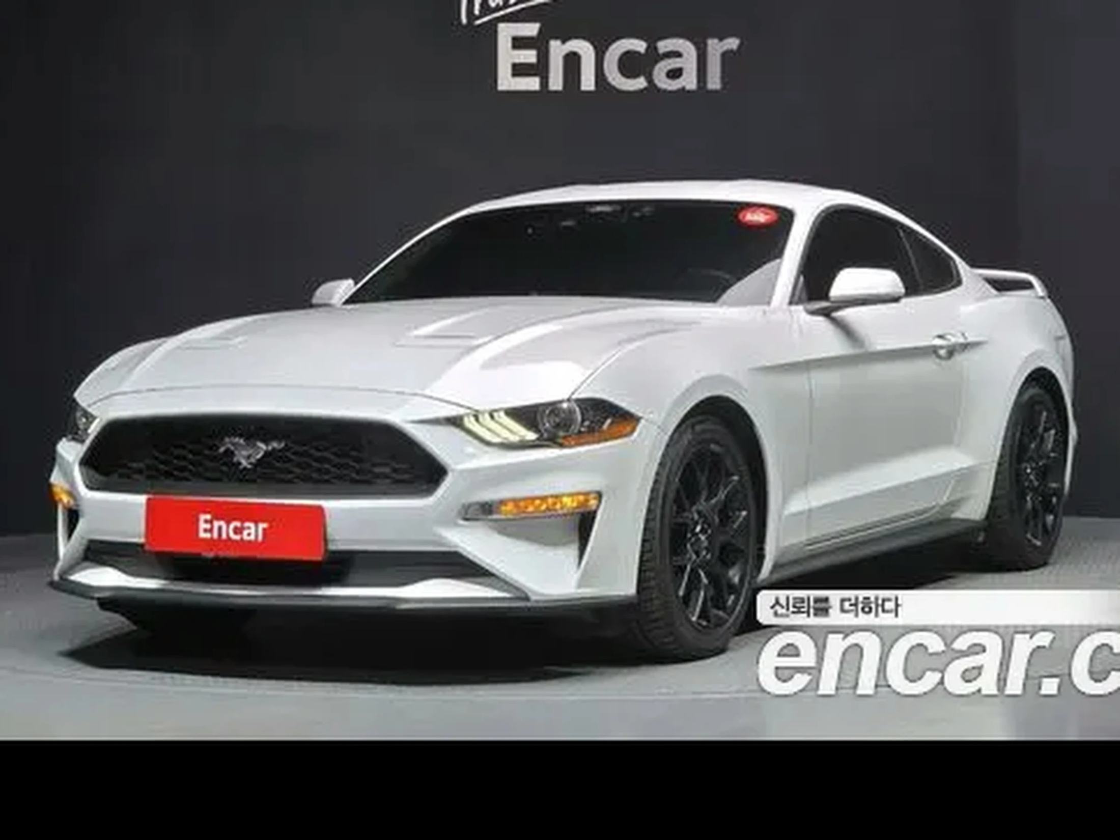 Ford 머스탱 2023 쿠페