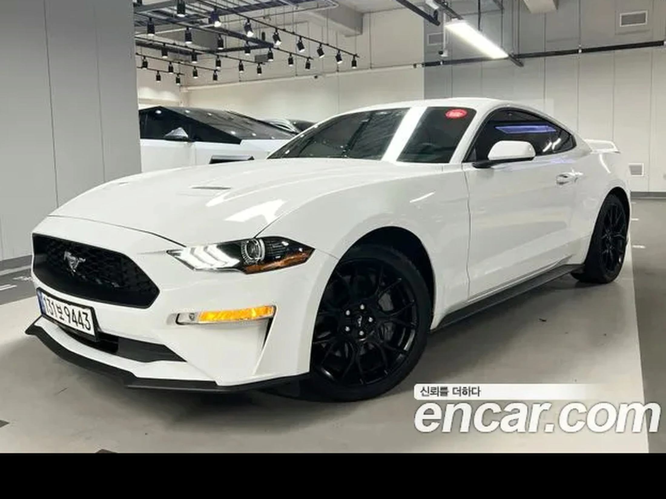 Ford 머스탱 2023 쿠페